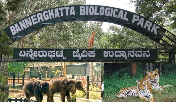 Bannerghatta Biological Park